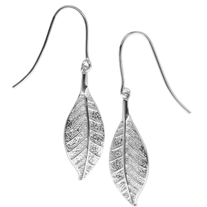 <p>Pohutukawa leaf earrings and box</p>